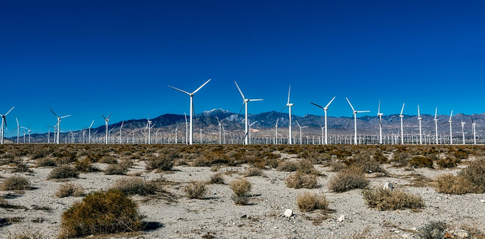 wind farm